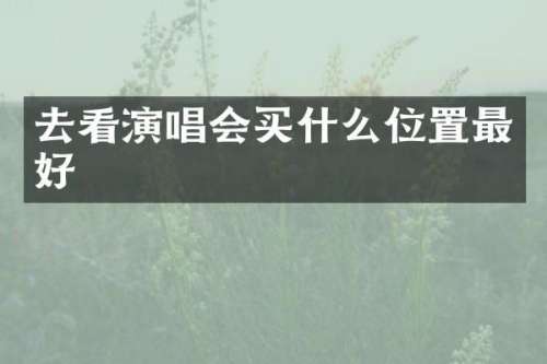 去看演唱会位置最好