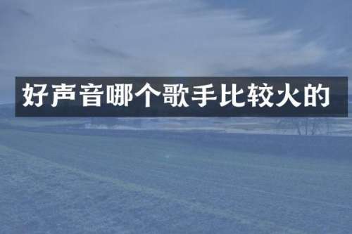 好声音哪个歌手比较火的