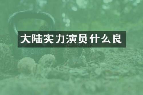 大陆实力演员什么良