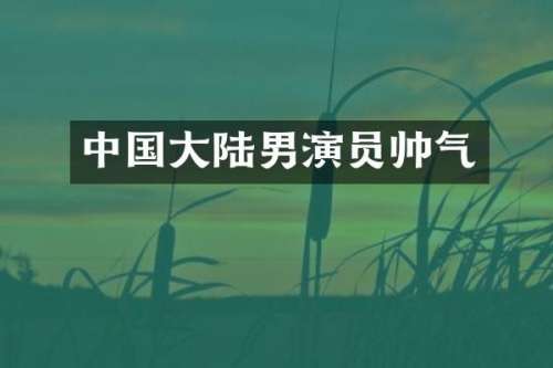 中国大陆男演员帅气