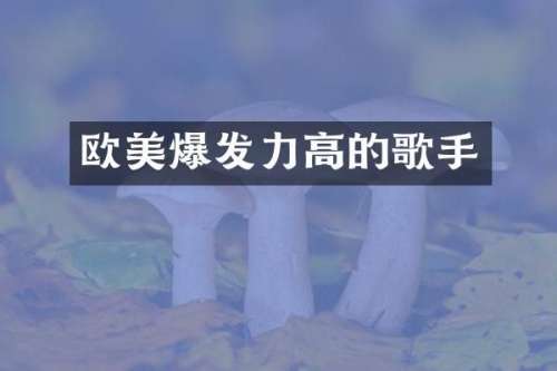 欧美爆发力高的歌手