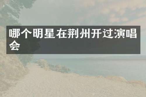 哪个明星在荆州开过演唱会