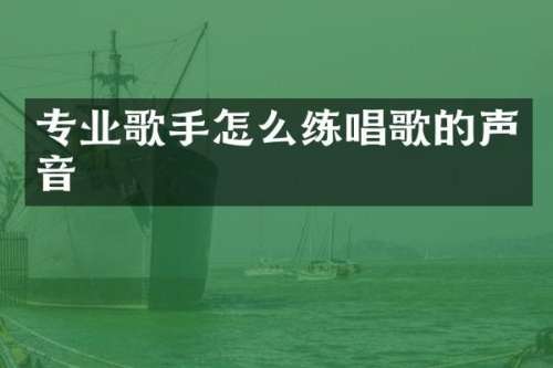 专业歌手怎么练唱歌的声音