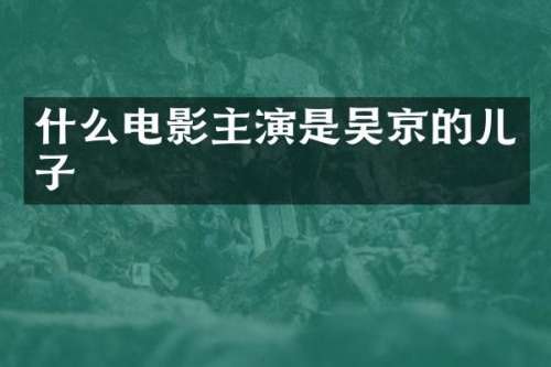 什么电影主演是吴京的儿子