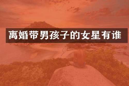 离婚带男孩子的女星有谁