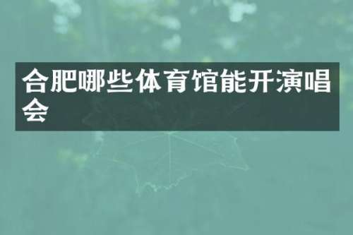 合肥哪些体育馆能开演唱会