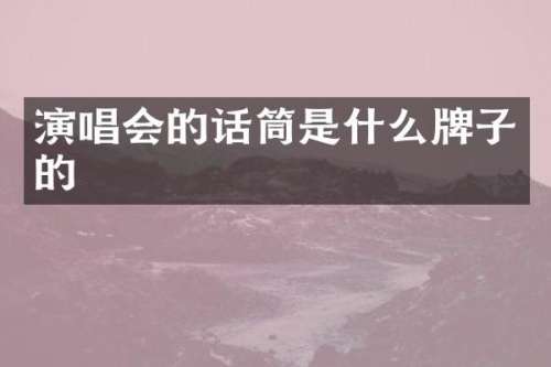 演唱会的话筒是什么牌子的