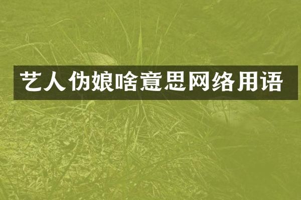 艺人伪娘啥意思网络用语