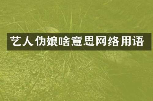 艺人伪娘啥意思网络用语