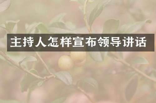主持人怎样宣布领导讲话