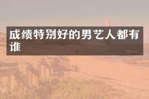 成绩特别好的男艺人都有谁