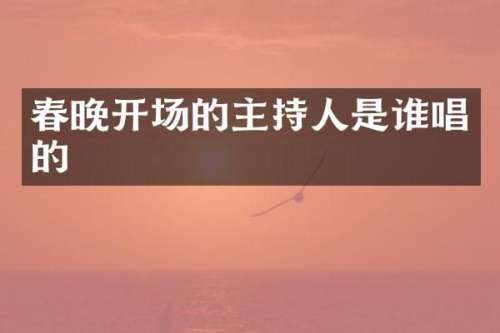 开场的主持人是谁唱的