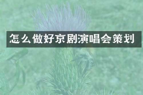 怎么做好京剧演唱会策划