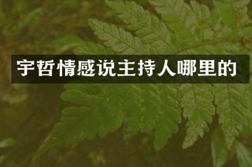 宇哲情感说主持人哪里的