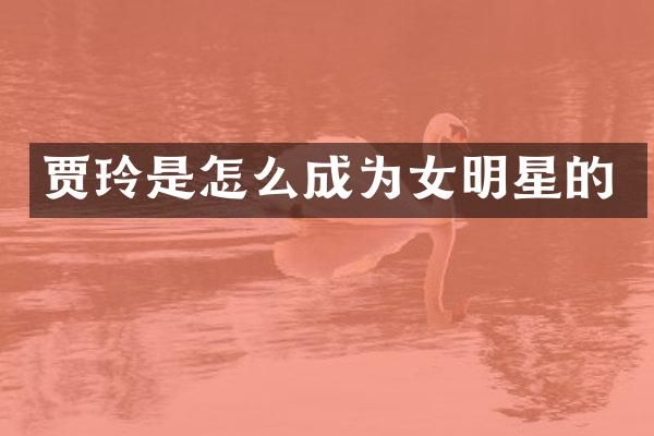 贾玲是怎么成为女明星的