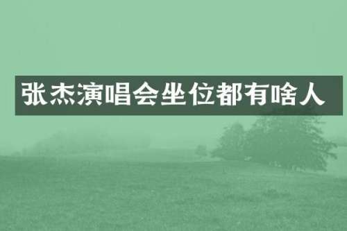 张杰演唱会坐位都有啥人