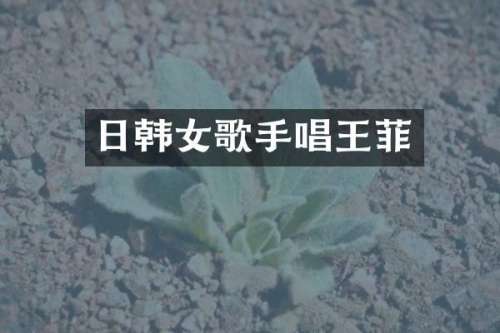 日韩女歌手唱王菲
