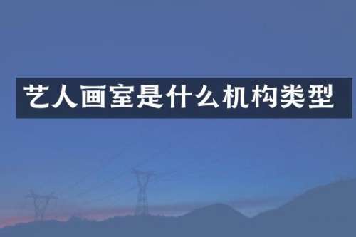 艺人画室是什么机构类型