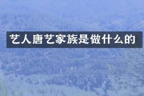 艺人唐艺家族是做什么的
