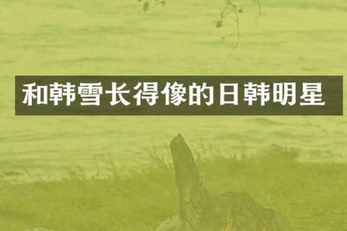 和韩雪长得像的日韩明星