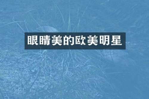 眼睛美的欧美明星