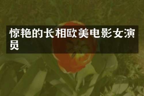 惊艳的长相欧美电影女演员