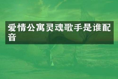 爱情公寓灵魂歌手是谁配音
