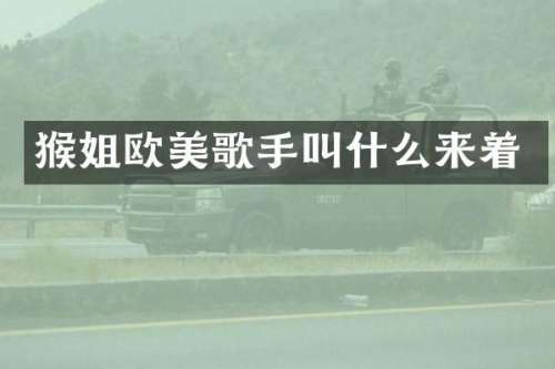 猴姐欧美歌手叫什么来着