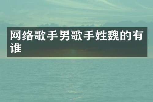 网络歌手男歌手的有谁