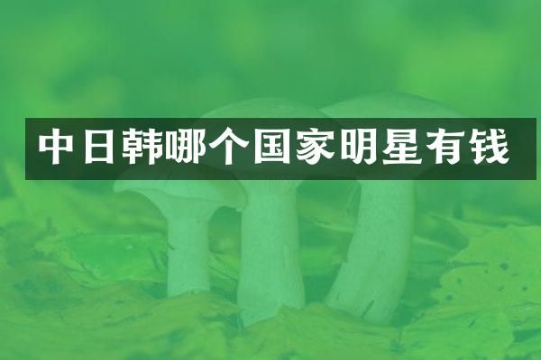 中日韩哪个国家明星有钱