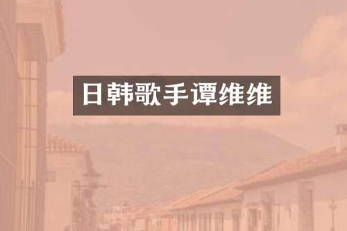 日韩歌手谭维维