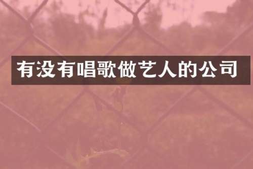 有没有唱歌做艺人的公司
