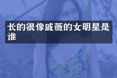 长的很像戚薇的女明星是谁