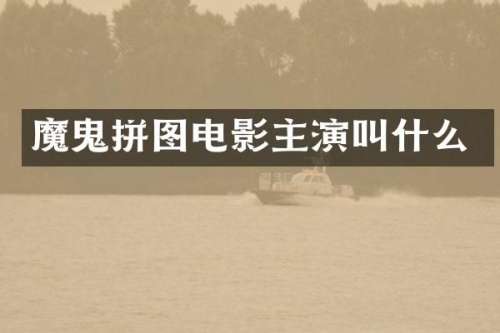 魔鬼拼图电影主演叫什么