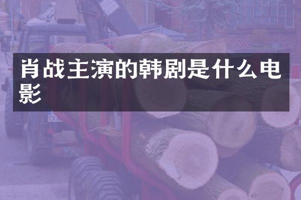 肖战主演的韩剧是什么电影