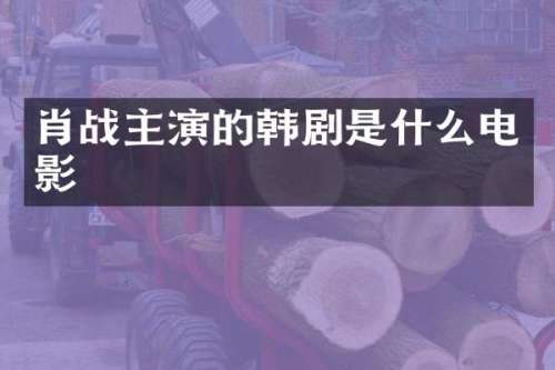 肖战主演的韩剧是什么电影