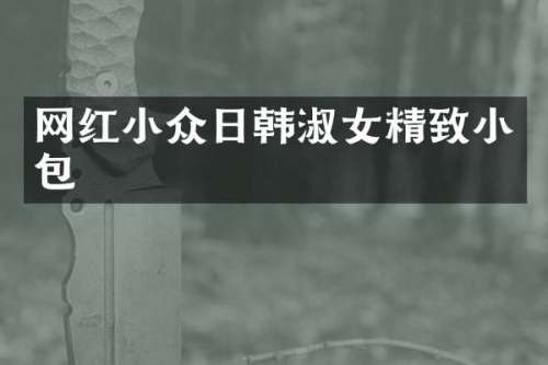 网红小众日韩淑女精致小包