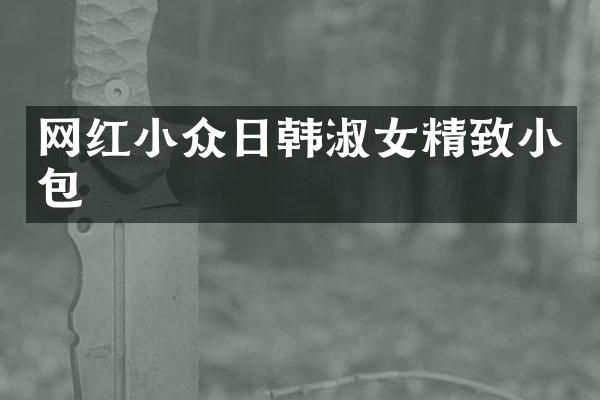 网红小众日韩淑女精致小包