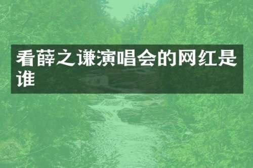 看薛之谦演唱会的网红是谁