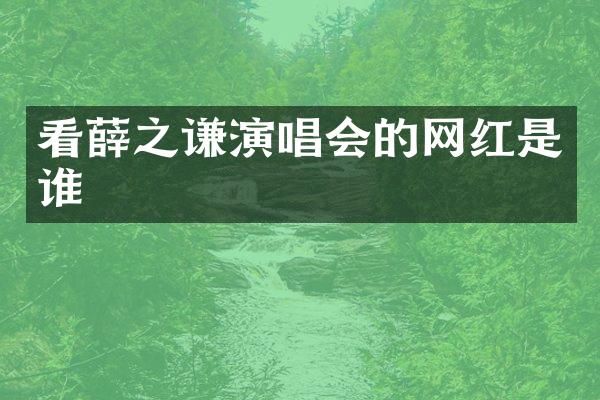 看薛之谦演唱会的网红是谁