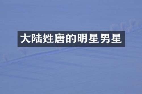 大陆姓唐的明星男星