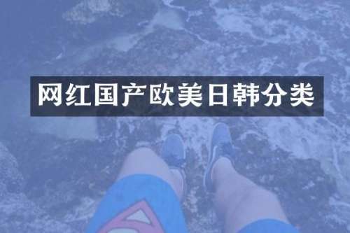 网红国产欧美日韩分类