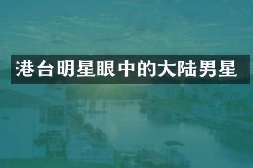 港台明星眼中的大陆男星