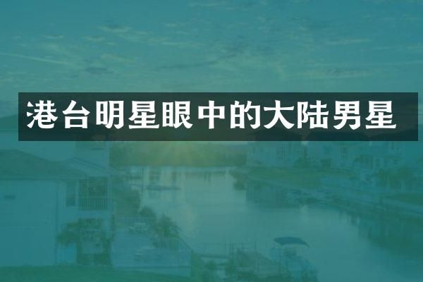 港台明星眼中的大陆男星