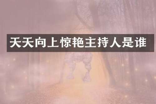 天天向上惊持人是谁