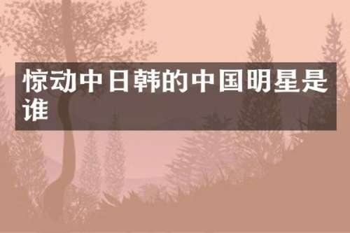 惊动中日韩的中国明星是谁