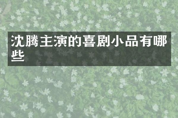 沈腾主演的喜剧小品有哪些