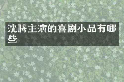 沈腾主演的喜剧小品有哪些