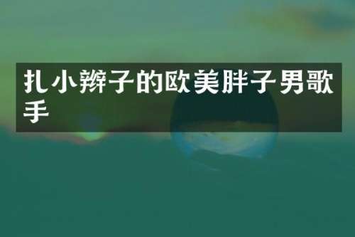 扎小辫子的欧美胖子男歌手