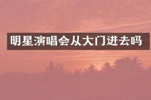 明星演唱会从大门进去吗